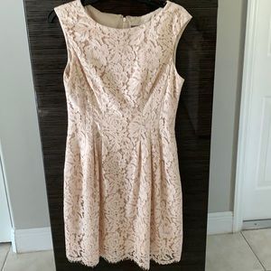 Vince Camuto lace Dress in blush